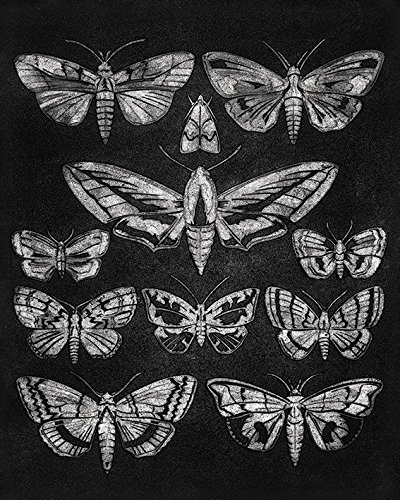 Barry Goodman Leinwanddruck, Polyester, Mehrfarbig, 40 x 50 cm von Barry Goodman