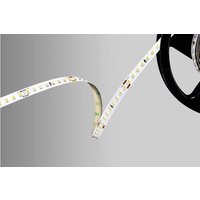 Barthelme 51542228 LED-Streifen 24V 5000mm Warmweiß 5m Barthelme 51542228 LED-Streifen 24V 5000mm Warmweiß 5m von Barthelme