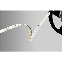 51542233 LED-Streifen 24 v 5000 mm Weiß 5 m - Barthelme von Barthelme