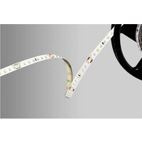 Barthelme 51542234 LED-Streifen 24V 5000mm Kaltweiß 5m Barthelme 51542234 LED-Streifen 24V 5000mm Kaltweiß 5m von Barthelme