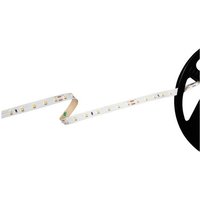 Barthelme Basic 70 51541234 LED-Streifen EEK: E (A - G) mit offenem Kabelende 24V 5m Kaltweiß 1St. von Barthelme