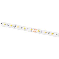 Barthelme LEDlight flex 12 10 LITE 500, Rolle 500cm 50414133 LED-Streifen 24V 500cm Warmweiß 5m Barthelme LEDlight flex 12 10 LITE 500, Rolle 500cm 50414133 LED-Streifen 24V 500cm Warmweiß 5m von Barthelme