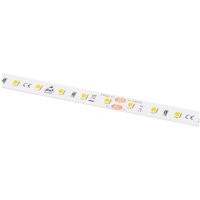 Barthelme LEDlight flex 12 10 LITE 500, Rolle 500cm 50414133 LED-Streifen 24V 500cm Warmweiß 5m von Barthelme