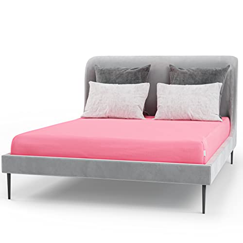 Bascuda Spannbetttuch Doppel 140x200-160x200 bis 38cm - 100% Baumwolle 130g/m² Weich Jersey Spannbettlaken - Premium Rosa Bettlaken von Bascuda