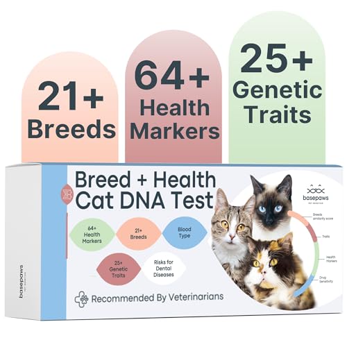 Basepaws Katzen-DNA-Test | Rasse + Gesundheit + Zahnbericht | Top-Katzenrassen & 114 Gesundheits- und Merkmalsmarker | Bekannt aus dem Shark Tank von Basepaws