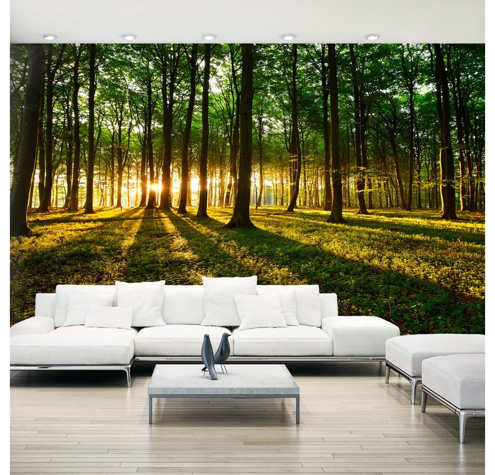 Basera® Fototapete Waldmotiv c-B-0127-x-b, selbstklebend, mit UV-Schutz von Basera®