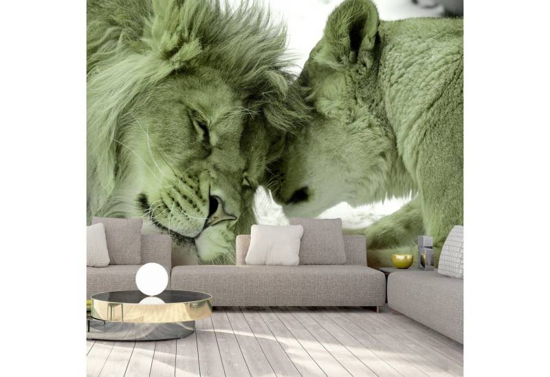 Basera® Fototapete g-B-0034-a-d von Basera