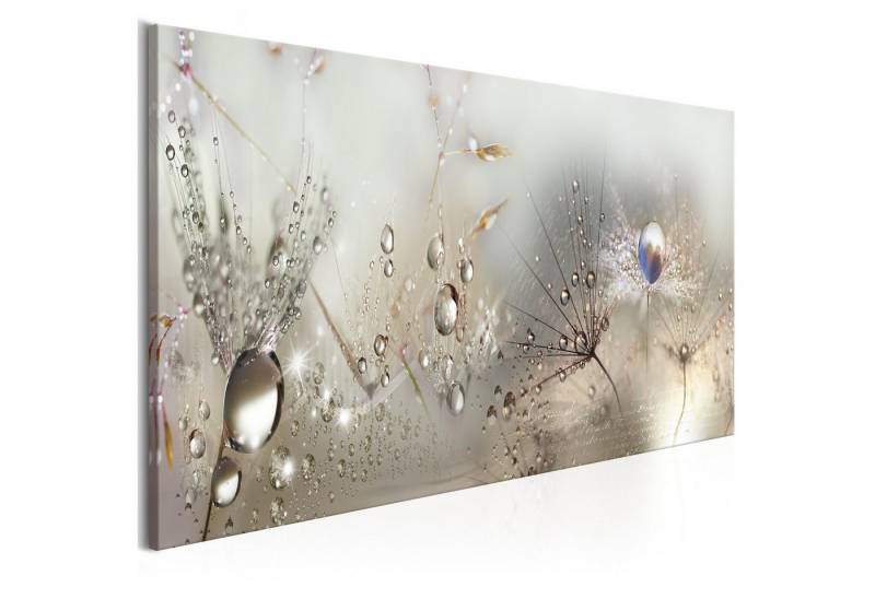 Basera® Leinwandbild b-C-0169-b-b von Basera®