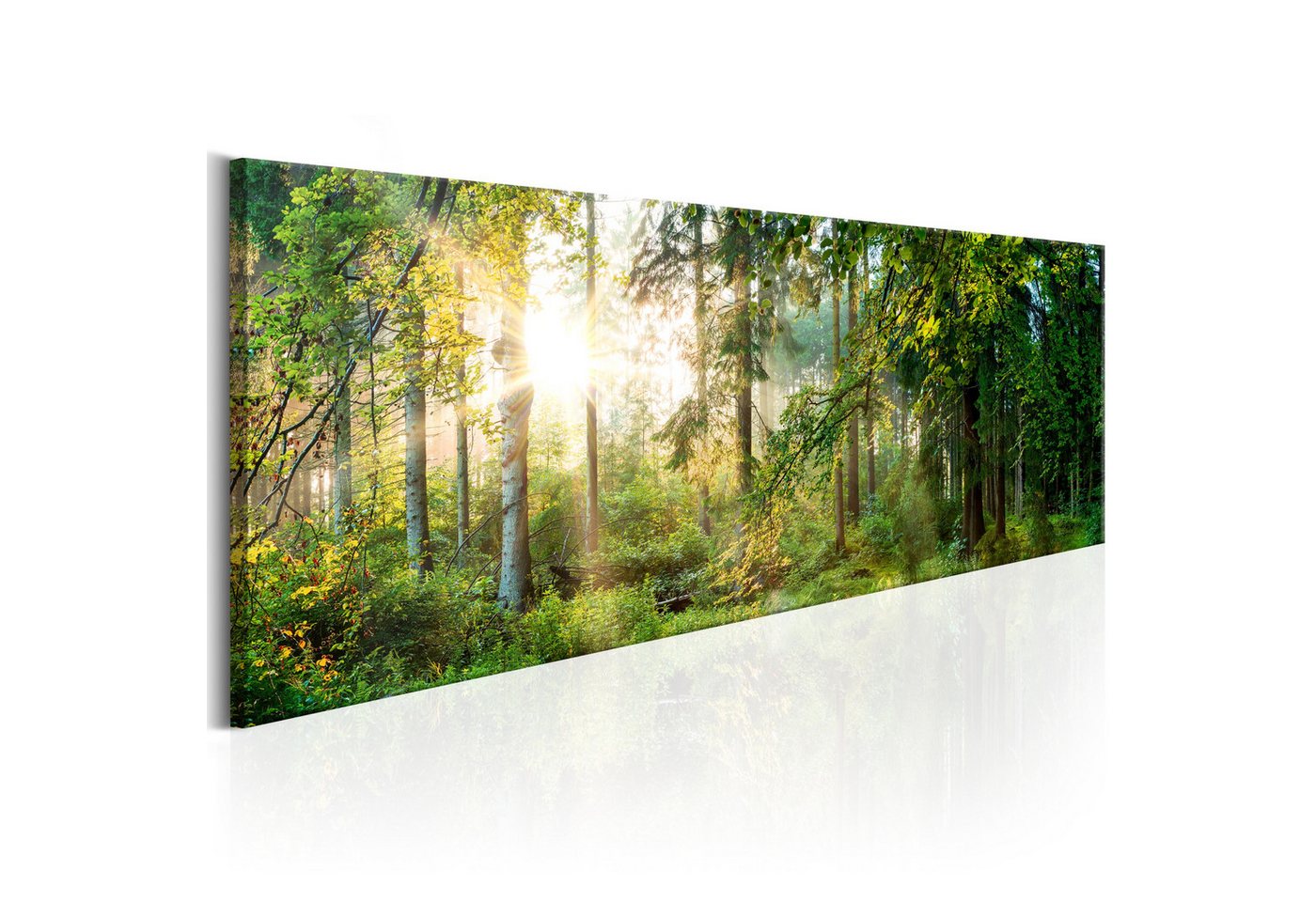 Basera® Leinwandbild c-C-0032-b-b von Basera®