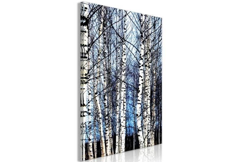 Basera® Leinwandbild c-C-0368-b-a von Basera®