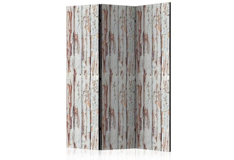Basera® Paravent 3-teiliger Raumteiler, Motiv f-C-0377-z-b von Basera®
