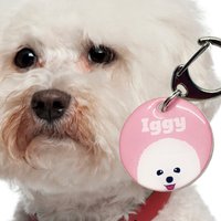 Bichon Frise Namensschild Für Hunde Acryl Haustier-Id-Tag von BashtagsOfficial