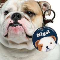 Bulldogge Rassehund Namensschild Acrylepoxidharz, Haltbar Haustier-Id von BashtagsOfficial