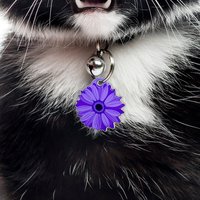 Daisy Dog Tag Acryl Blumen Haustier Namensschild Daisy Dog Tag Acryl Blumen Haustier Namensschild von BashtagsOfficial