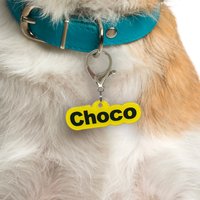 Personalisierte Arial Bold Acryl Haustier-Id-Tag Moderne Hunde - & Katzenmarke von BashtagsOfficial