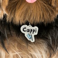 Weiße Namensschilder Für Hunde Mit Lightning Bolt Von Bashtags von BashtagsOfficial