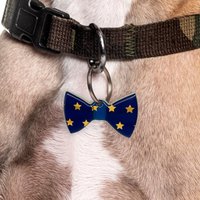 sternennacht Fliege Haustier Tags Von Bashtags von BashtagsOfficial