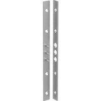 Bändersicherung - BS 280 - mit 3 Zapfen und Schrauben - 280x20 mm - verzinkt von Basi