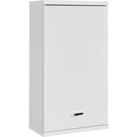 BASIC by Balculina Hängeschrank "Pool, Badezimmerschrank BxHxT 38x71x23" 1 Stk. tlg. Breite 38cm, Tür L/R montierbar von Basic By Balculina