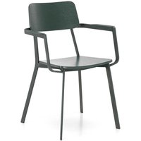 Design Stühle in Grün Schichtholz Metall (4er Set) von Basilicana