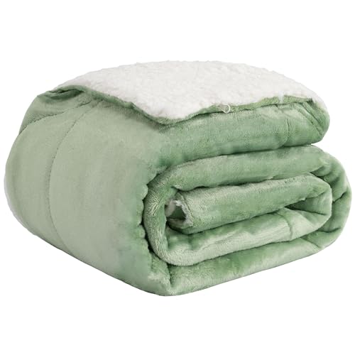 Basisstoff Cloudy Decke Sofa Kuscheldecke warm Sherpa Couchdecke mit Ecktasche Grün Gr. 150 x 200 cm von Basisstoff
