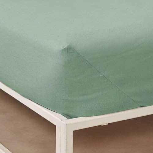 Bassetti - Spannbettlaken Pop Color, 100 % Baumwolle, hergestellt in Italien (SALVIA, 90 x 200 cm - Einzelbett) von Bassetti