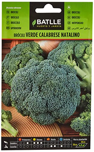 Batlle Gemüsesamen - Brokkoli Calabrese Grün (1500 Samen) von Semillas Batlle