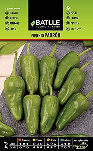 Batlle Gemüsesamen - Chili Paprika - Pimiento Padrón (150 Samen) von Semillas Batlle
