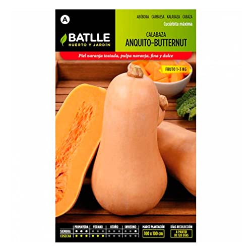 Batlle Gemüsesamen - Kürbis Anquito-Butternut (10-25 Samen) von Semillas Batlle