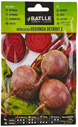 Batlle Gemüsesamen - Rote Rüben Detroit 2 (500 Samen) von Semillas Batlle