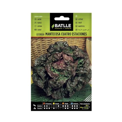 Batlle Gemüsesamen - Salat 4 Jahreszeiten (5600 Samen) von Semillas Batlle