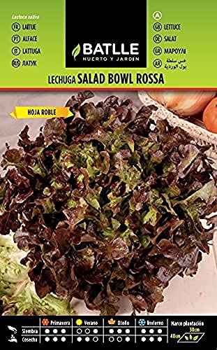 Batlle Gemüsesamen - Salat Salad Bowl Rot (5600 Samen) von Semillas Batlle