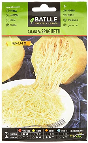 Batlle Gemüsesamen - Spaghetti Kürbis (10-25 Samen) von Semillas Batlle
