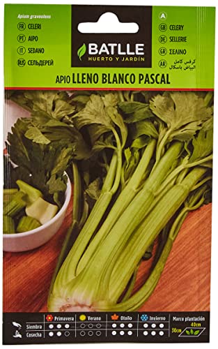 Batlle Gemüsesamen - Stangensellerie weiss Pascal (60-90 Samen) von Semillas Batlle