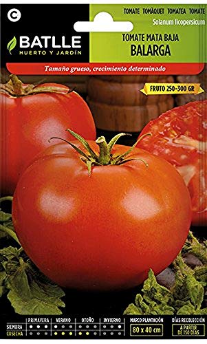 Batlle Gemüsesamen - Tomate Balarga (140 Samen) von Semillas Batlle