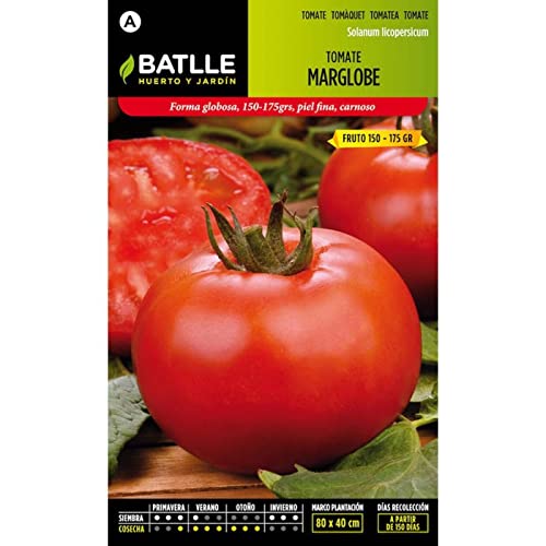 Batlle Gemüsesamen - Tomate Marglobe (875 Samen) von Semillas Batlle