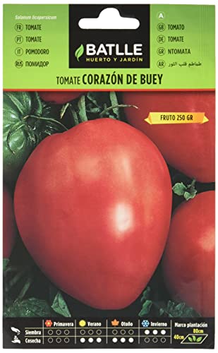 Batlle Gemüsesamen - Tomaten Ochsenherz (350 Samen) von Semillas Batlle