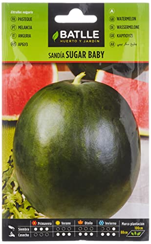 Batlle Gemüsesamen - Wassermelone Sugar baby (160 Samen) von Semillas Batlle