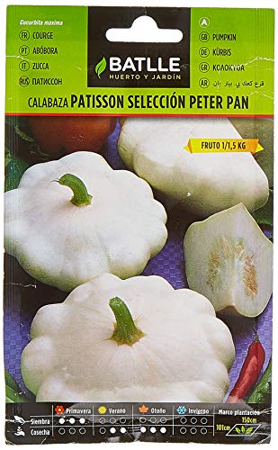 Batlle Gemüsesamen - Weisser Kürbis Pâtisson Peter Pan (12-30 Samen) von Semillas Batlle