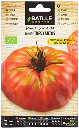 Bio Samen - Grosse Rosa Tomaten Tres Cantos (85 Samen - Bio) von Semillas Batlle
