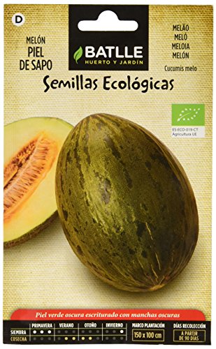 Bio Samen - Honigmelone Piel de Sapo (70 Samen - Bio) von Semillas Batlle