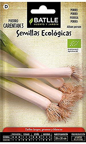 Bio Samen - Lauch - Porree Carentan 3 dick (200 Samen - Bio) von Semillas Batlle