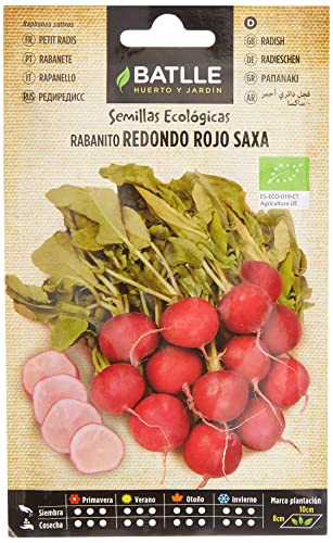 Bio Samen - Runde rote Radieschen Saxa (120 Samen - Bio) von Semillas Batlle