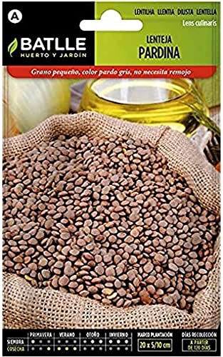 Semillas hortícolas de Batlle - Lenteja Pardina (40g) von Semillas Batlle