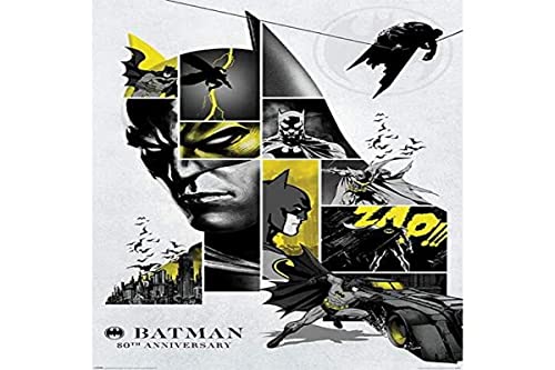 Batman 80's Anniversary Unisex Poster Multicolor Papier 61 x 91,5 cm DC Comics, Film von Batman