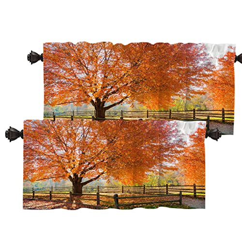 Batmerry Autumn Fall Tree Kitchen Valances Half Window Curtain, Tree Orange New Jersey Nature Jersey Holmdel Fence Fall Kitchen Valances for Bedroom Valance for Decor Reducing The Light von Batmerry