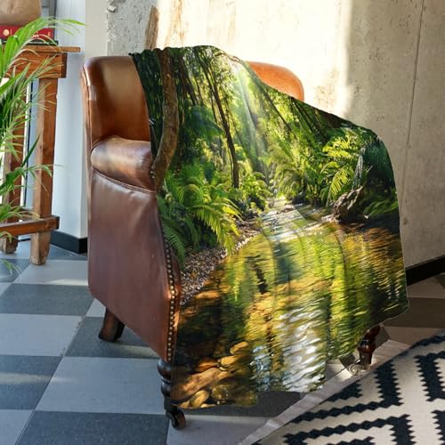 Batmerry Umweltfreundliche Überwurfdecke für Couch, Sofa, Bett, Sonnenlichtlichtung, Blätterdach, superweich, warm, flauschige Plüschdecken, Dekoration, leicht, gemütlich, Reise, Camping, 152,4 x Batmerry Umweltfreundliche Überwurfdecke für Couch, Sofa, Bett, Sonnenlichtlichtung, Blätterdach, superweich, warm, flauschige Plüschdecken, Dekoration, leicht, gemütlich, Reise, Camping, 152,4 x von Batmerry
