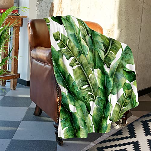 Batmerry Watercolor Tropic Plant Throw Blanket for Couch Sofa Bed,Greenery Banana Palm Leaves Super Soft Warm Fuzzy Plush Blankets Decor Lightweight Cozy Travel Camping Blanket 60 x 50 IN von Batmerry
