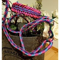 Set Paracord-Halsband + Leine von BauBauHundeshop