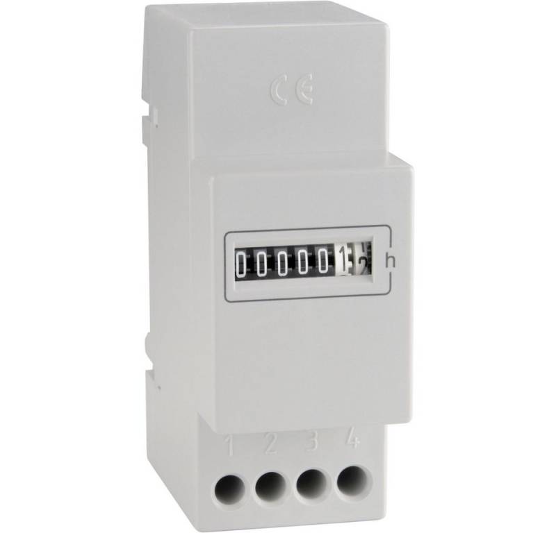 Bauser Einbausicherung Bauser 661.6/008-001-1-1-001 661.6/008-001-1-1-001 Betriebsstundenzähl, (661.6/008-001-1-1-001) von Bauser